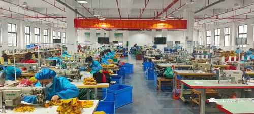 大化成功舉辦第二屆防護(hù)制品技能大賽 聚焦軟件開發(fā)與技術(shù)轉(zhuǎn)讓創(chuàng)新