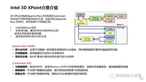 存儲系統 技術創(chuàng)新、軟件開發(fā)與未來趨勢